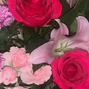 Meet your Posher, Caroline